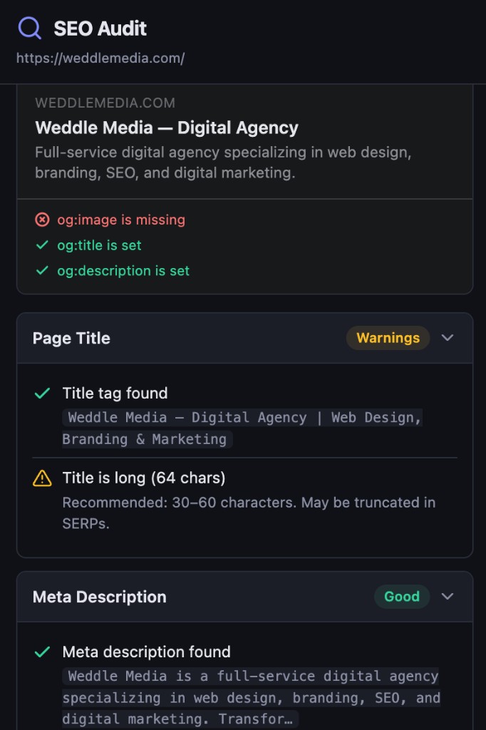 SEO Audit overview showing page title, meta description, and Open Graph analysis